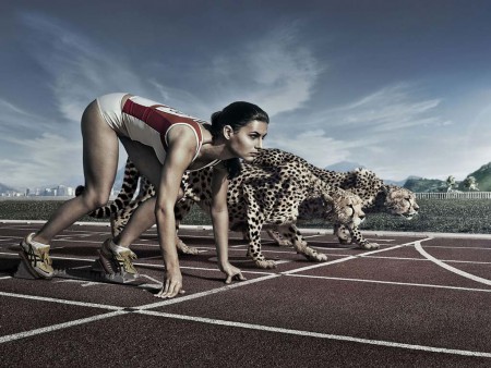 Corrida Animal!